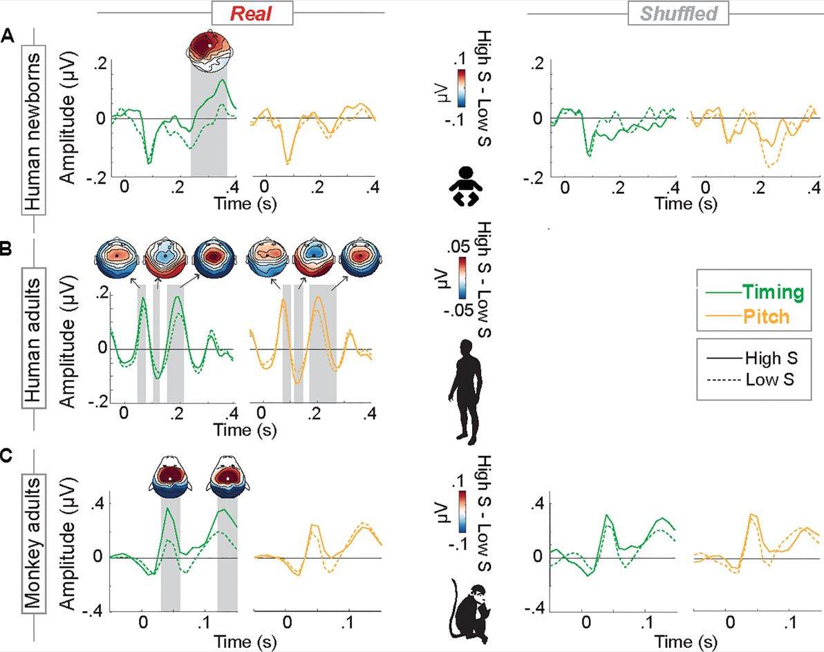 Модуляция слуховых вызванных потенциалов в зависимости от фактора неожиданности.
