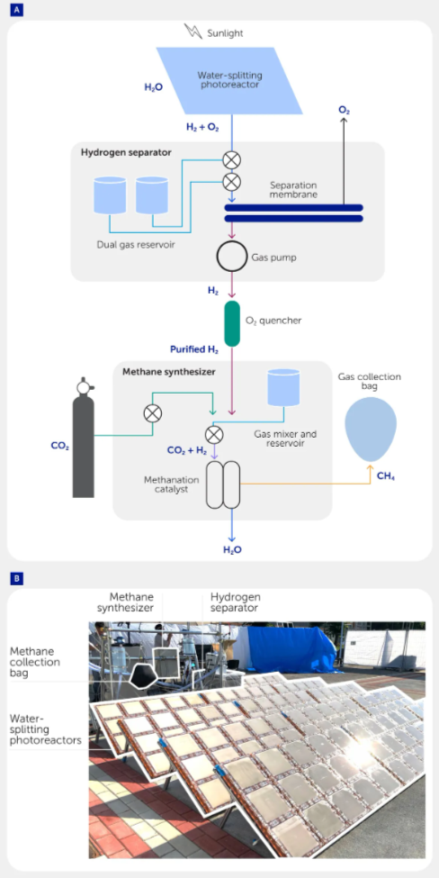 Мини-пилотная система для производства «зелёного» метана (CH4). (A) Схема и (B) фотография системы. Система состоит из (i) фотореактора для расщепления воды, который производит газообразный оксиводород из воды, (ii) сепаратора водорода (H2), который извлекает очищенный H2 из оксиводорода, поглотителя кислорода (O2), который повышает чистоту H2, и (iii) синтезатора CH4, который преобразует углекислый газ (CO2) в метан. Полученный метан извлекается в (iv) баллоне. Побочный продукт H2O при метанизации CO2 выводится наружу. CO2 подается извне.