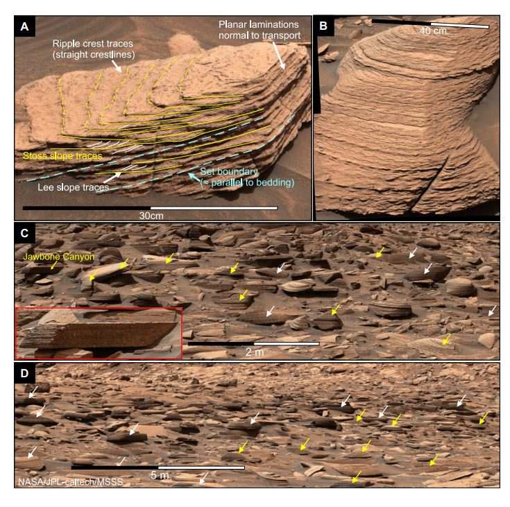Примеры восходящей ветровой ряби и их распределение вдоль маршрута Curiosity. (A) Треже-Пик (сол 4159). (B) Драй-Лейк — разные углы подъёма. (C) Джоубон-Каньон (сол 4394): жёлтые стрелки — восходящая рябь, белые — горизонтальная. (D) Сол 4396, 60 м от Джоубон-Каньона — восходящая рябь в блоках пород.