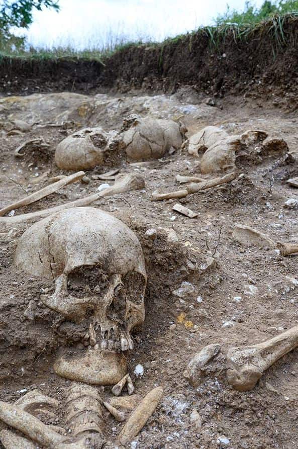 Один из десяти скелетов, обнаруженных в братской могиле на окраине Кембриджа. В яме находились как целые тела, так и расчлененные останки, включая «кучу ног» и отдельные черепа. Фото: Кембриджский археологический отдел / Дэвид Мацлиах. Опубликовано 4 февраля 2026 года.