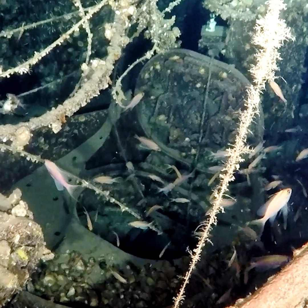 Найдена затонувшая британская подводная лодка времен ВМВ